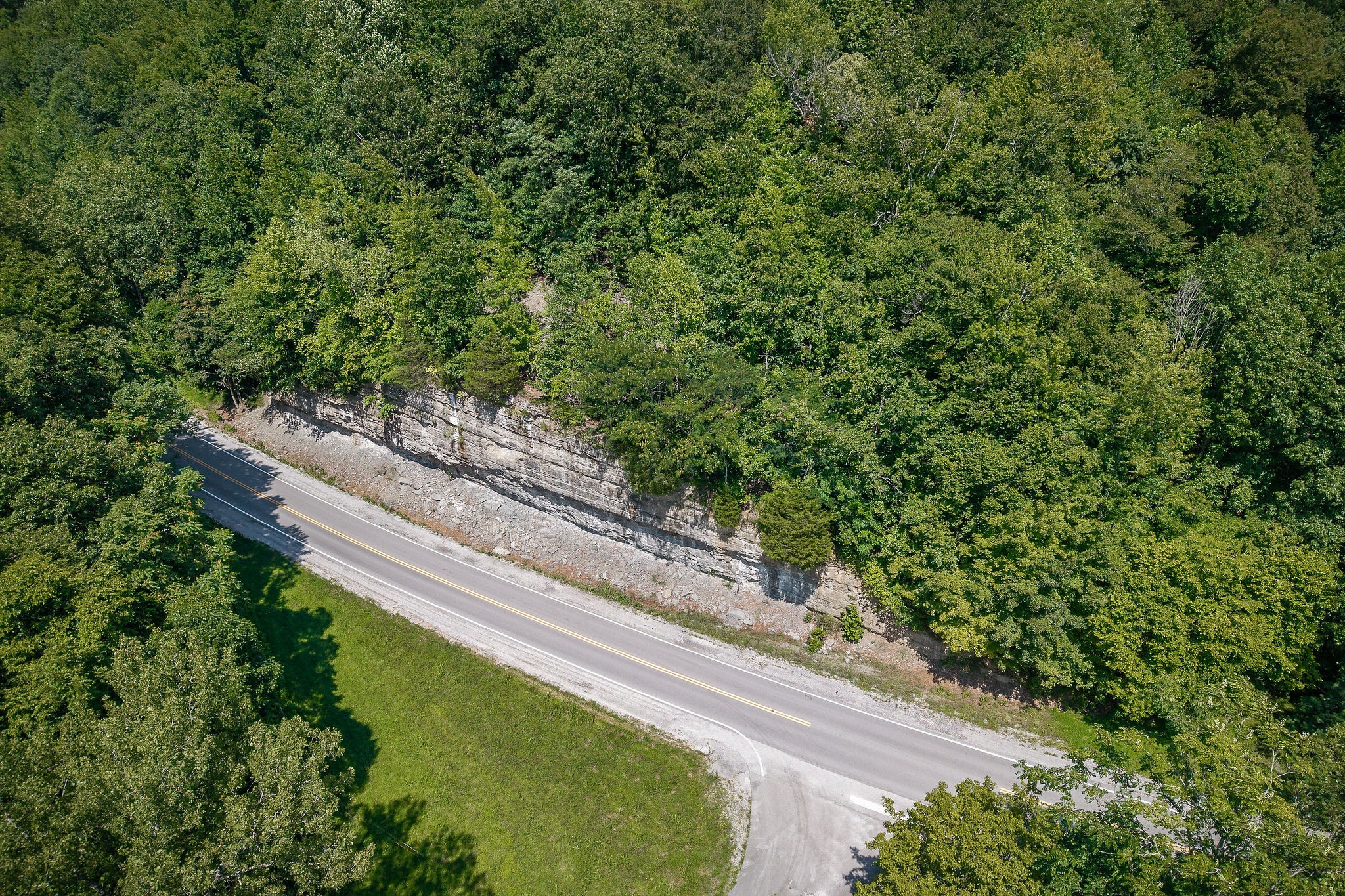 0 Buffalo Valley Road Buffalo Valley, TN 38548 - Photo 5 of 22 a view of a yard with plants