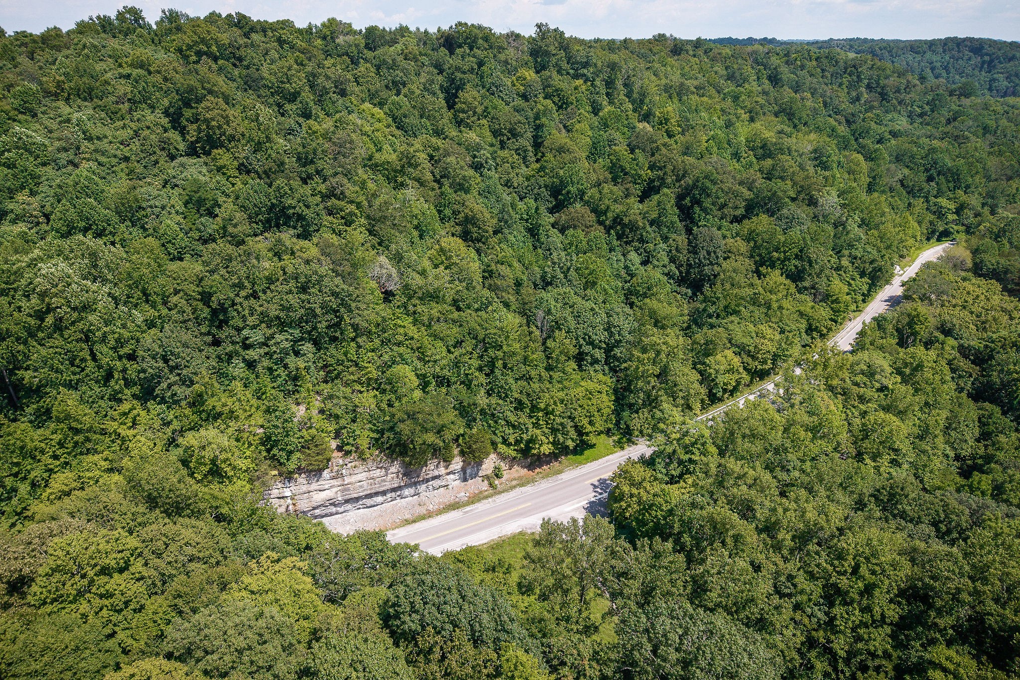 0 Buffalo Valley Road Buffalo Valley, TN 38548 - Photo 6 of 22 a view of a forest with a tree