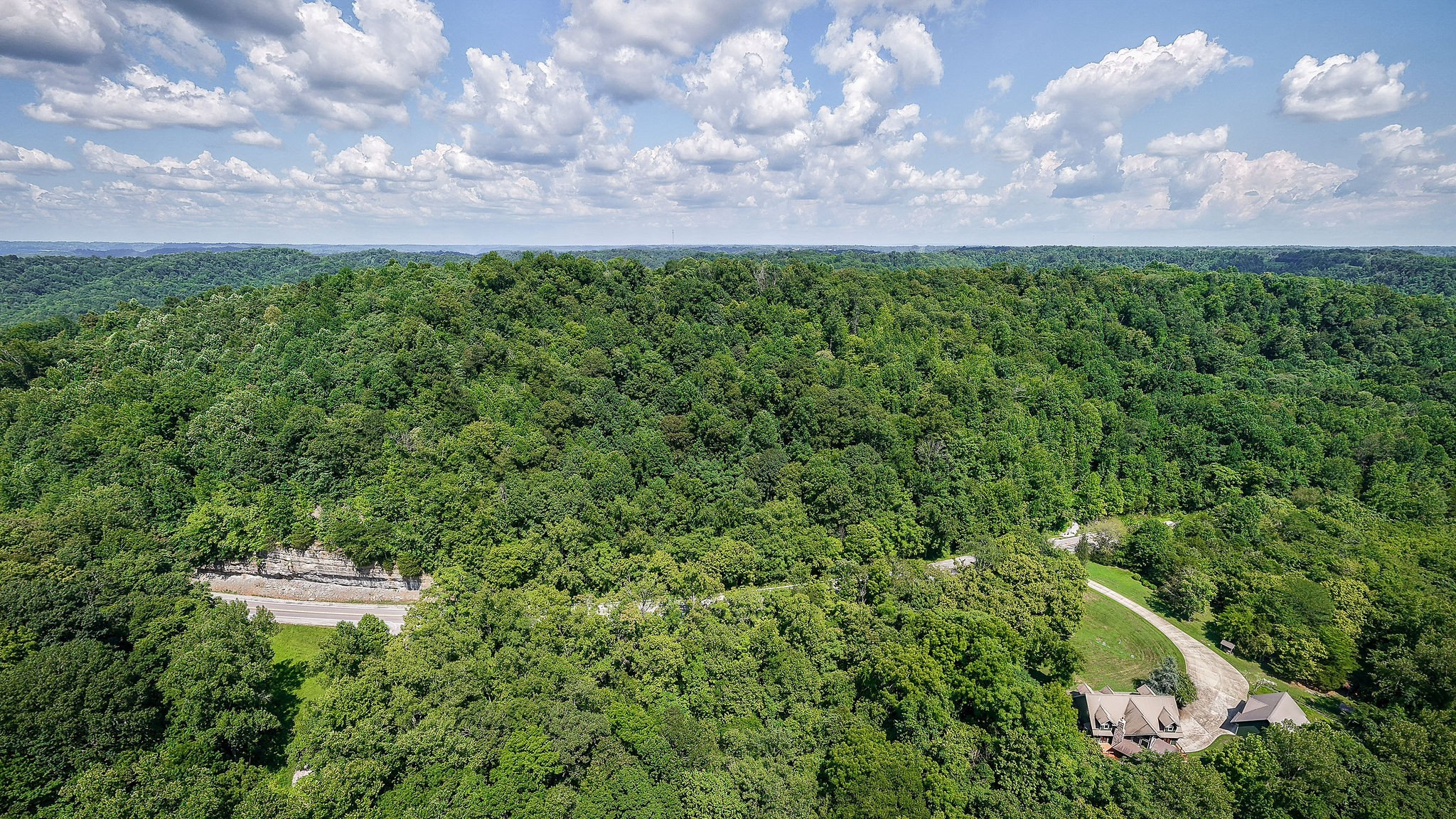 0 Buffalo Valley Road Buffalo Valley, TN 38548 - Photo 7 of 22 a view of a big yard with potted plants and big trees