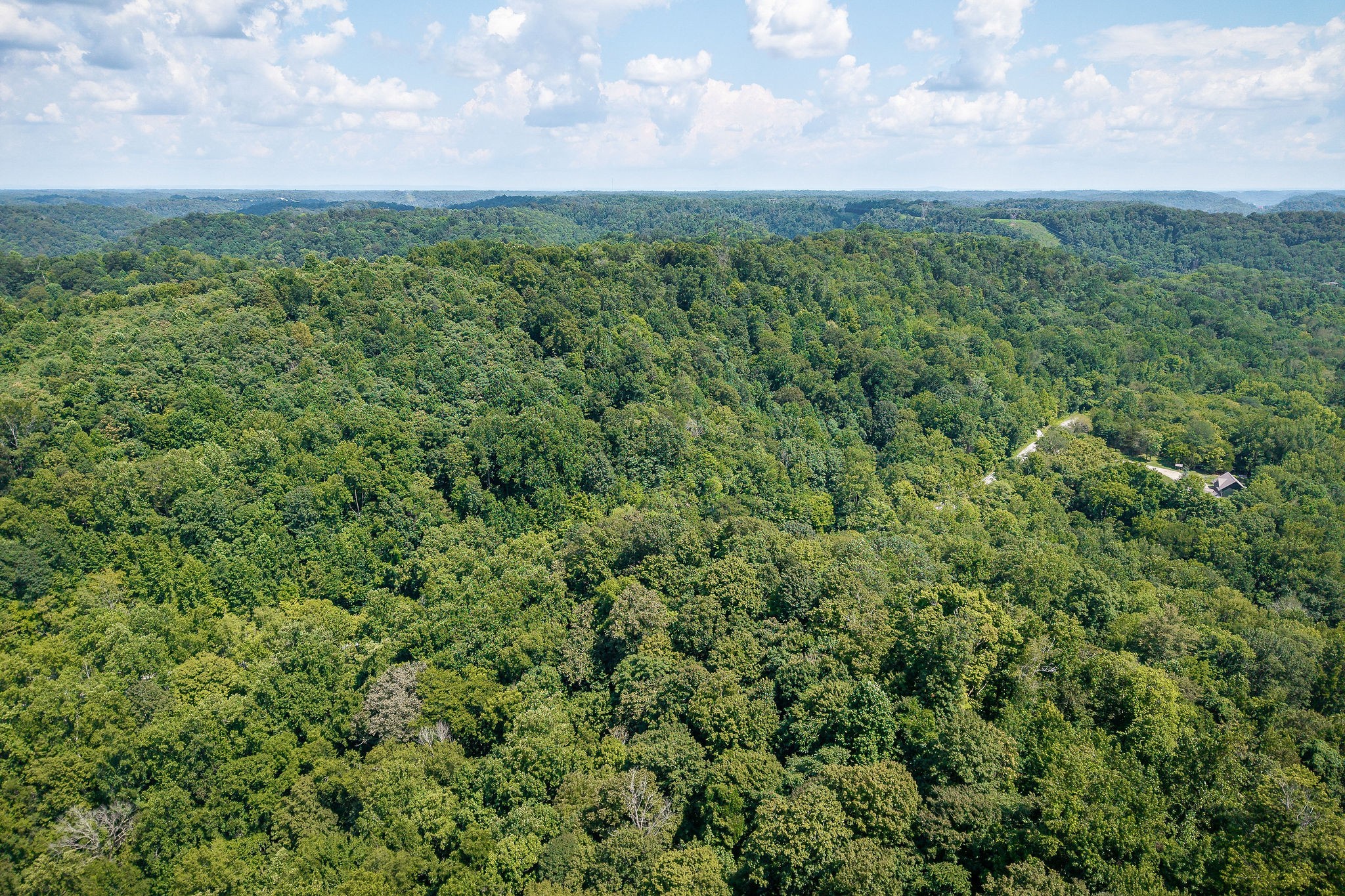0 Buffalo Valley Road Buffalo Valley, TN 38548 - Photo 9 of 22 a view of a green field with lots of bushes