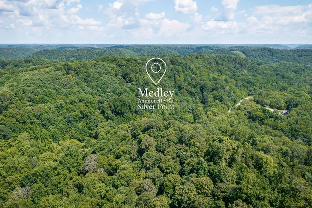 a view of a bunch of trees