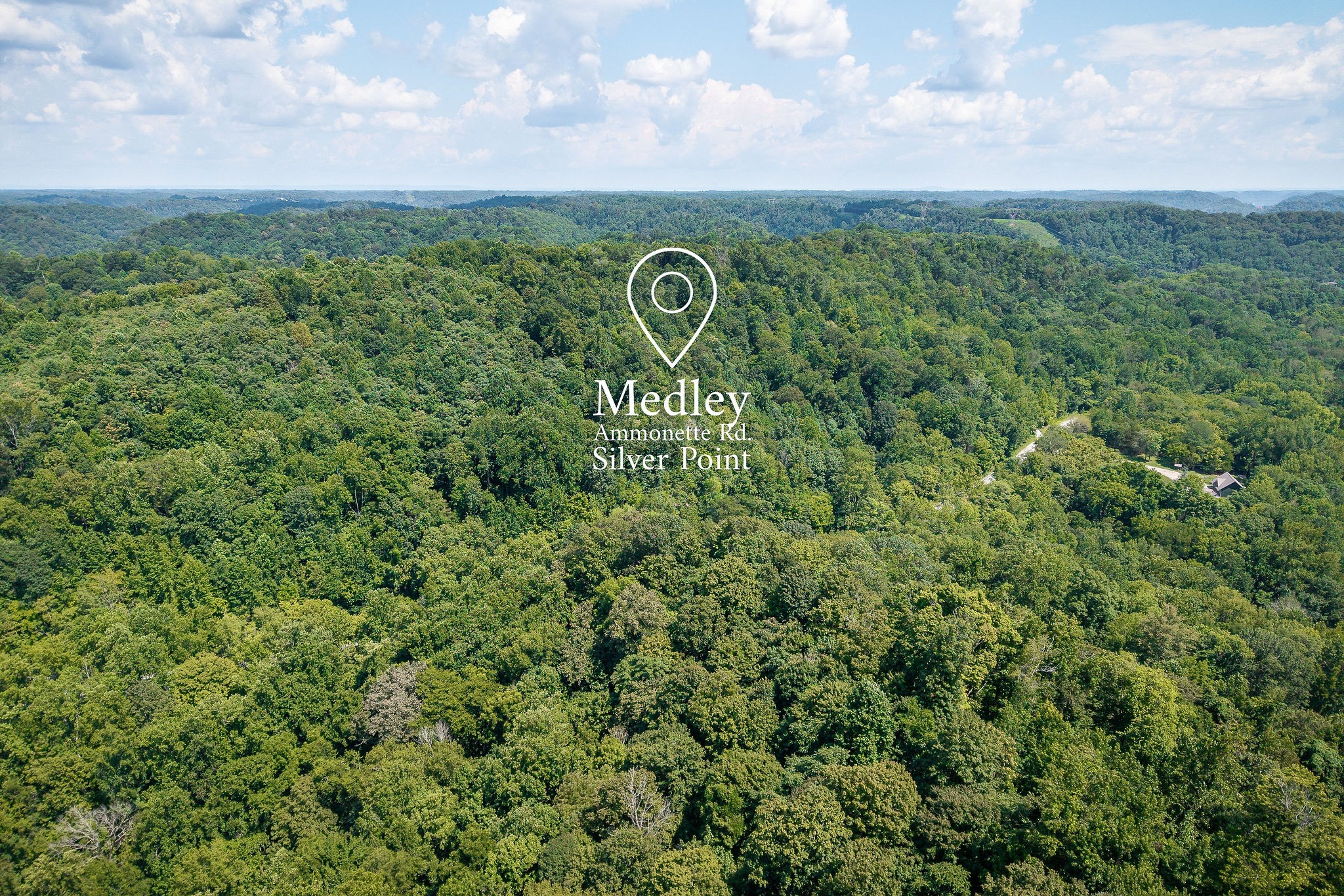 0 Buffalo Valley Road Buffalo Valley, TN 38548 - Photo 10 of 22 a view of a city with lush green forest