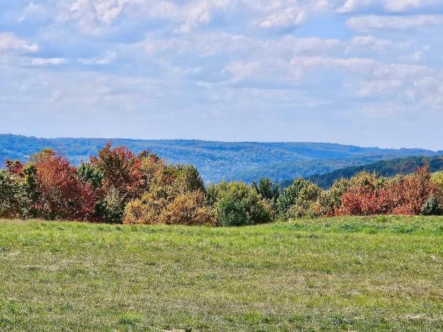 2921 Cobham Park Road Warren, PA 16365 - Photo 8 of 21 Gallery Image 8