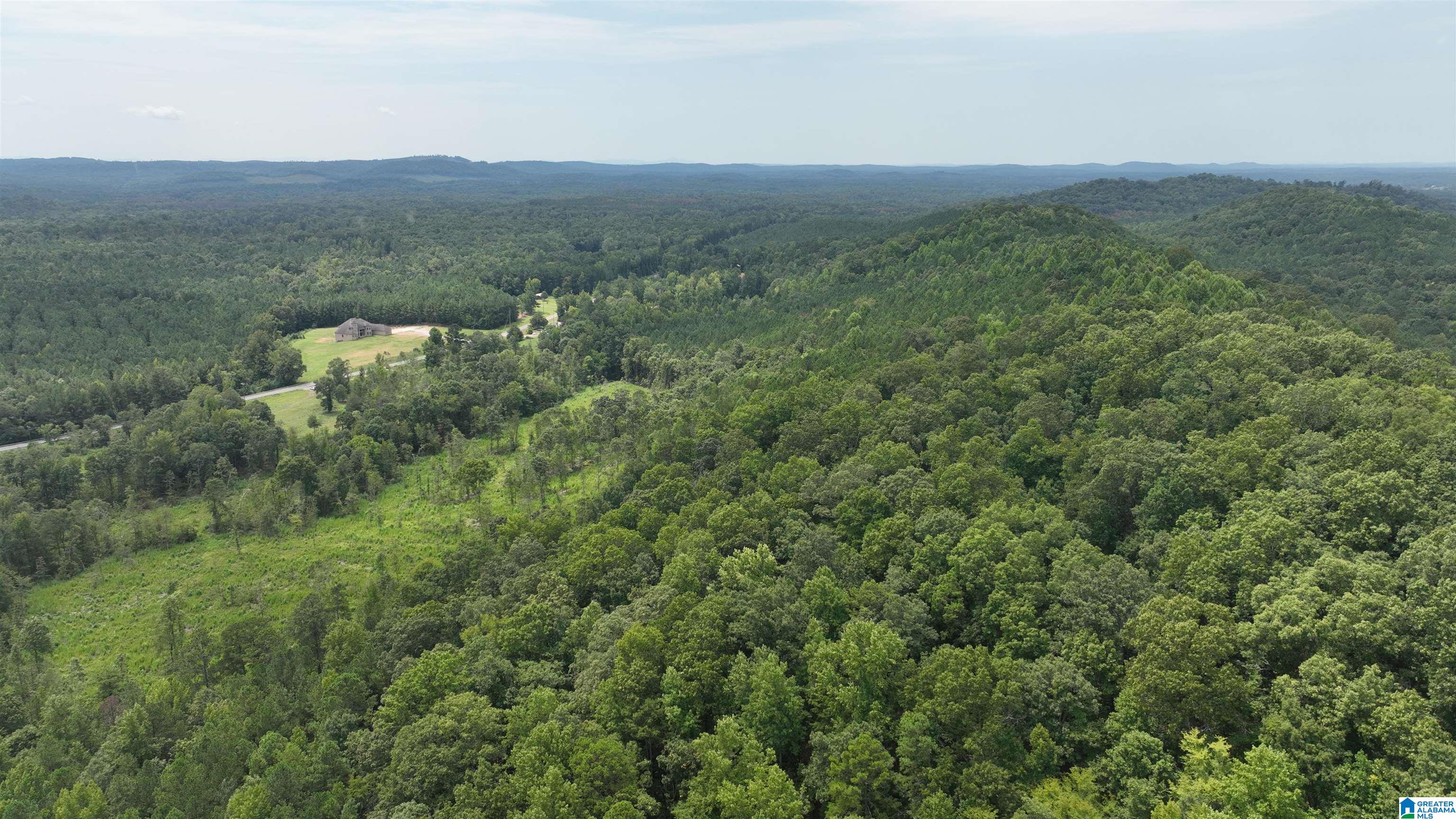 0 Boiling Springs Road Ohatchee, AL 36271 - Photo 2 of 8
