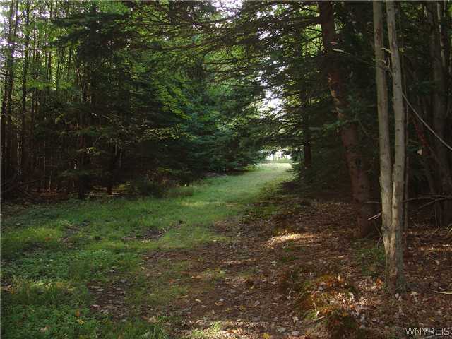 0 Salisbury Road Jamestown, NY 14701 - Photo 1 of 1 Land