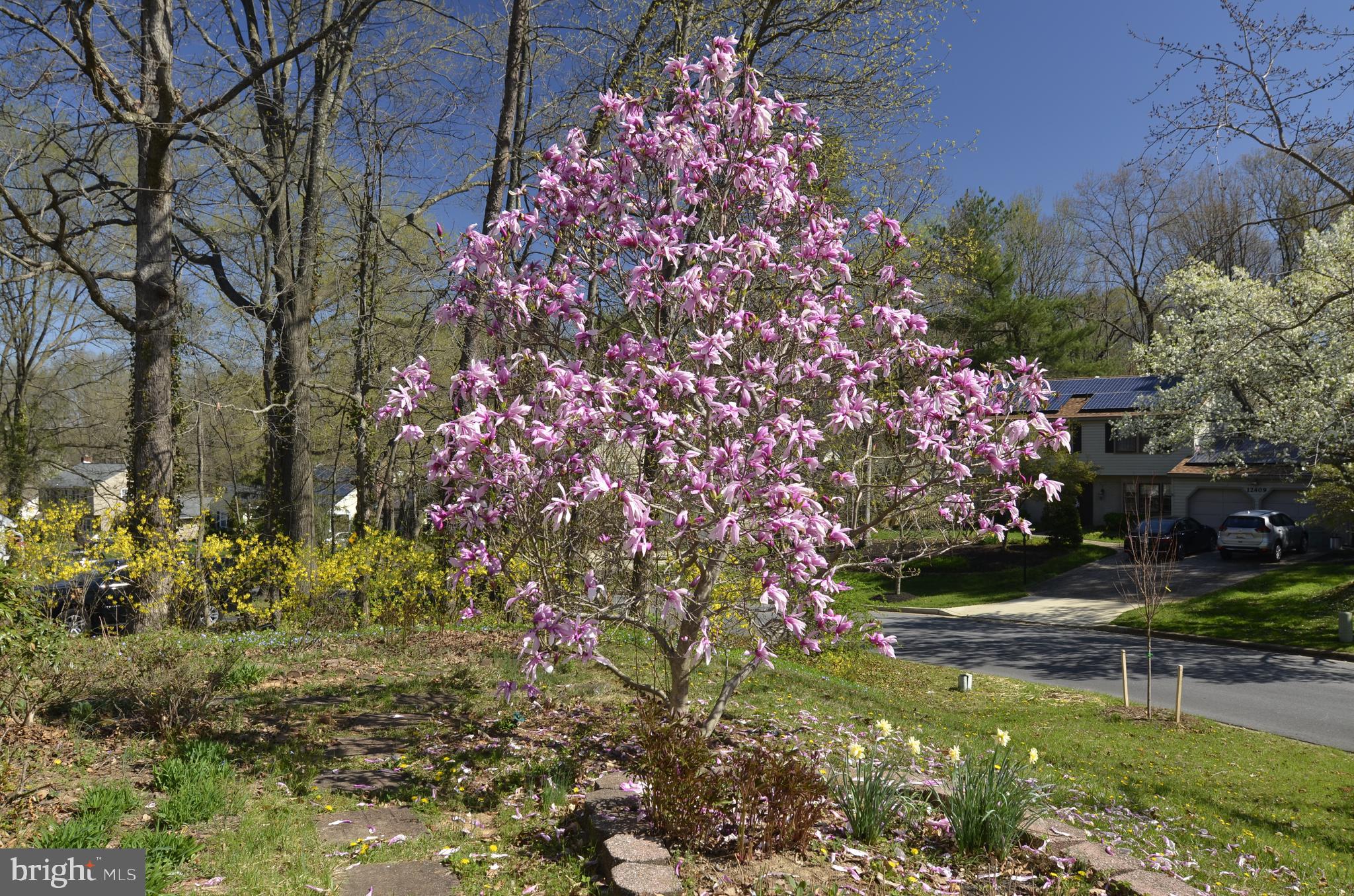 12408 Eastgate Lane Laurel, MD 20708 - Photo 4 of 81 Gallery Image 4