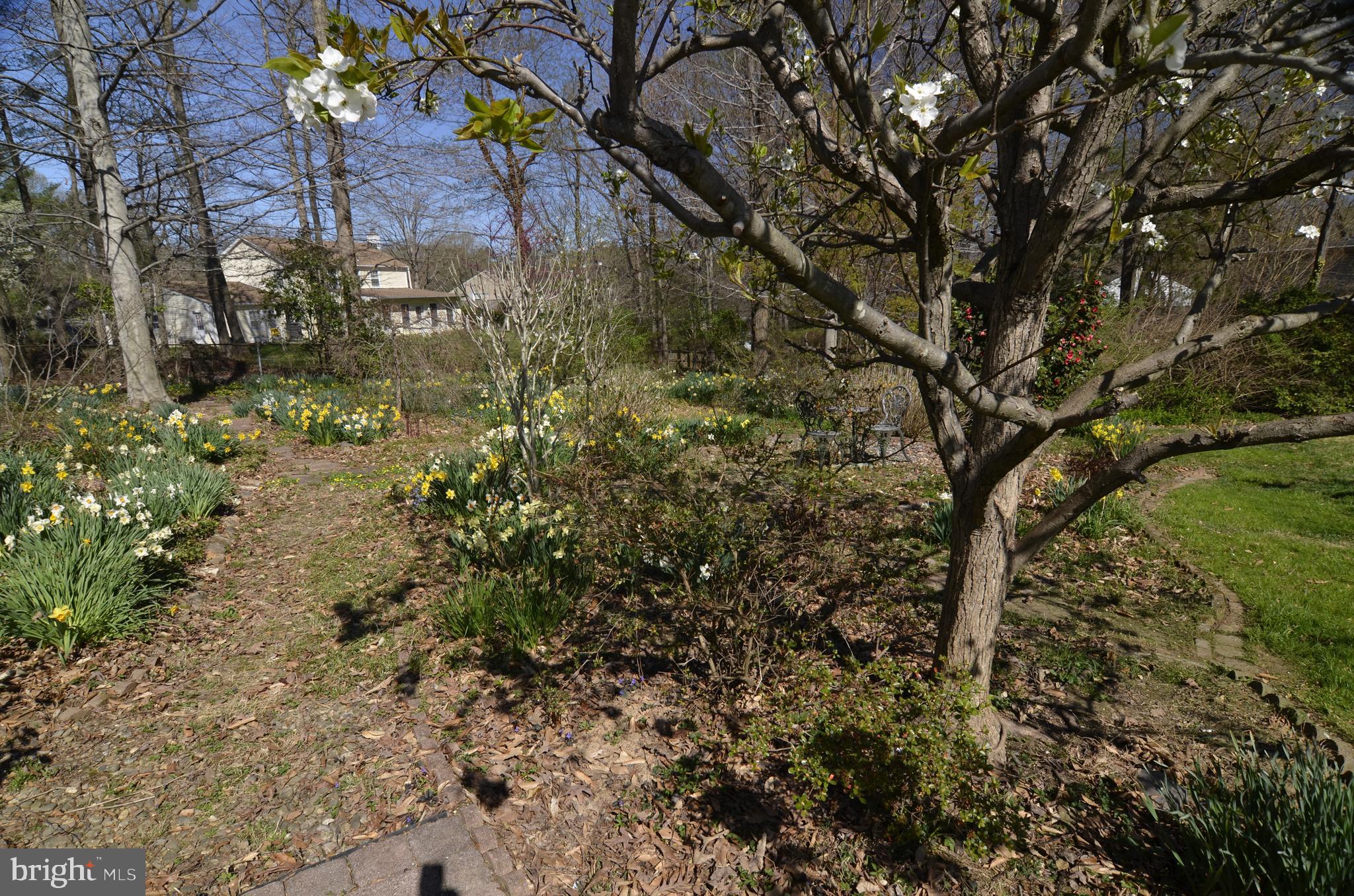 12408 Eastgate Lane Laurel, MD 20708 - Photo 64 of 81 Gallery Image 64
