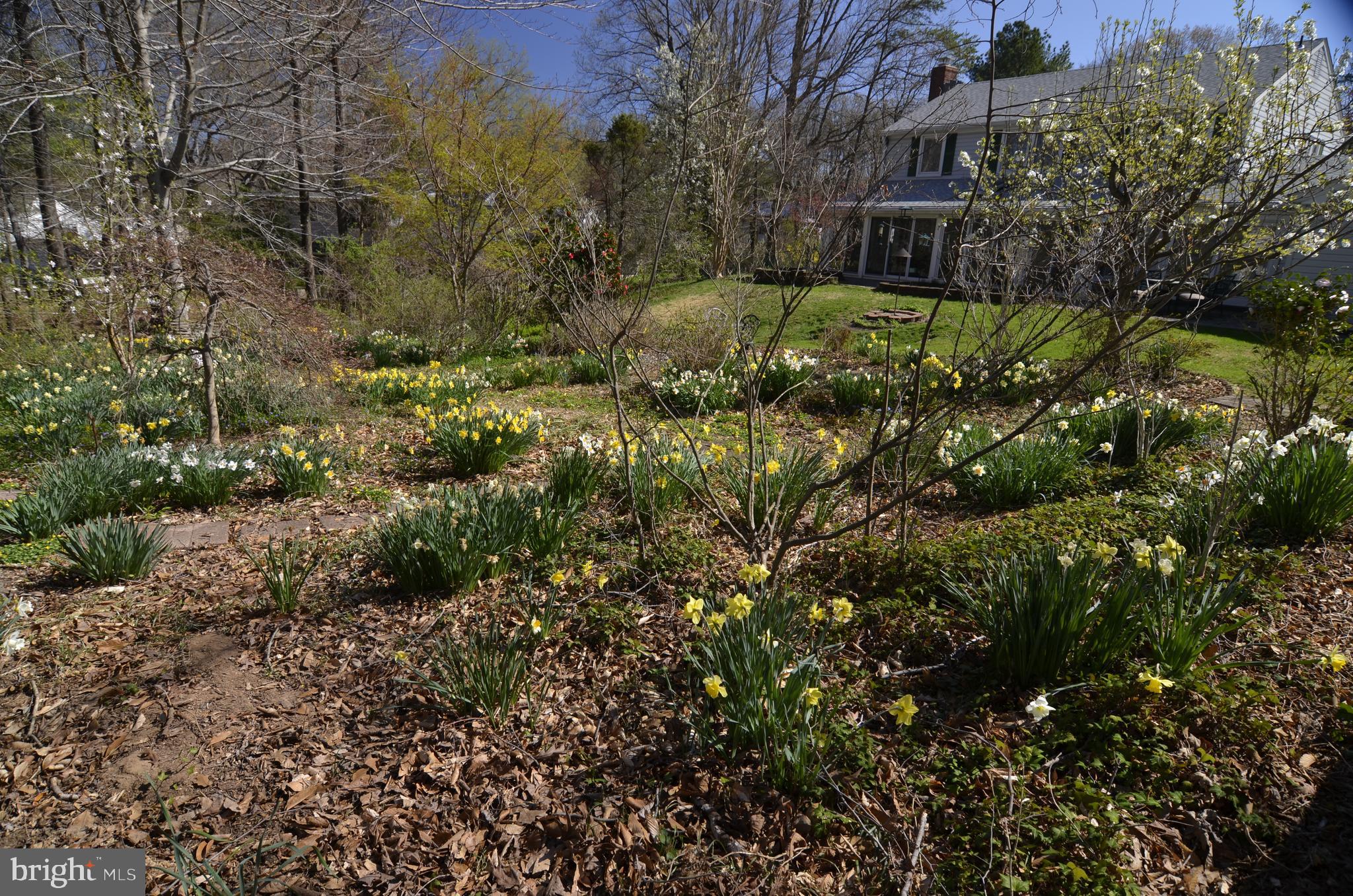 12408 Eastgate Lane Laurel, MD 20708 - Photo 66 of 81 Gallery Image 66