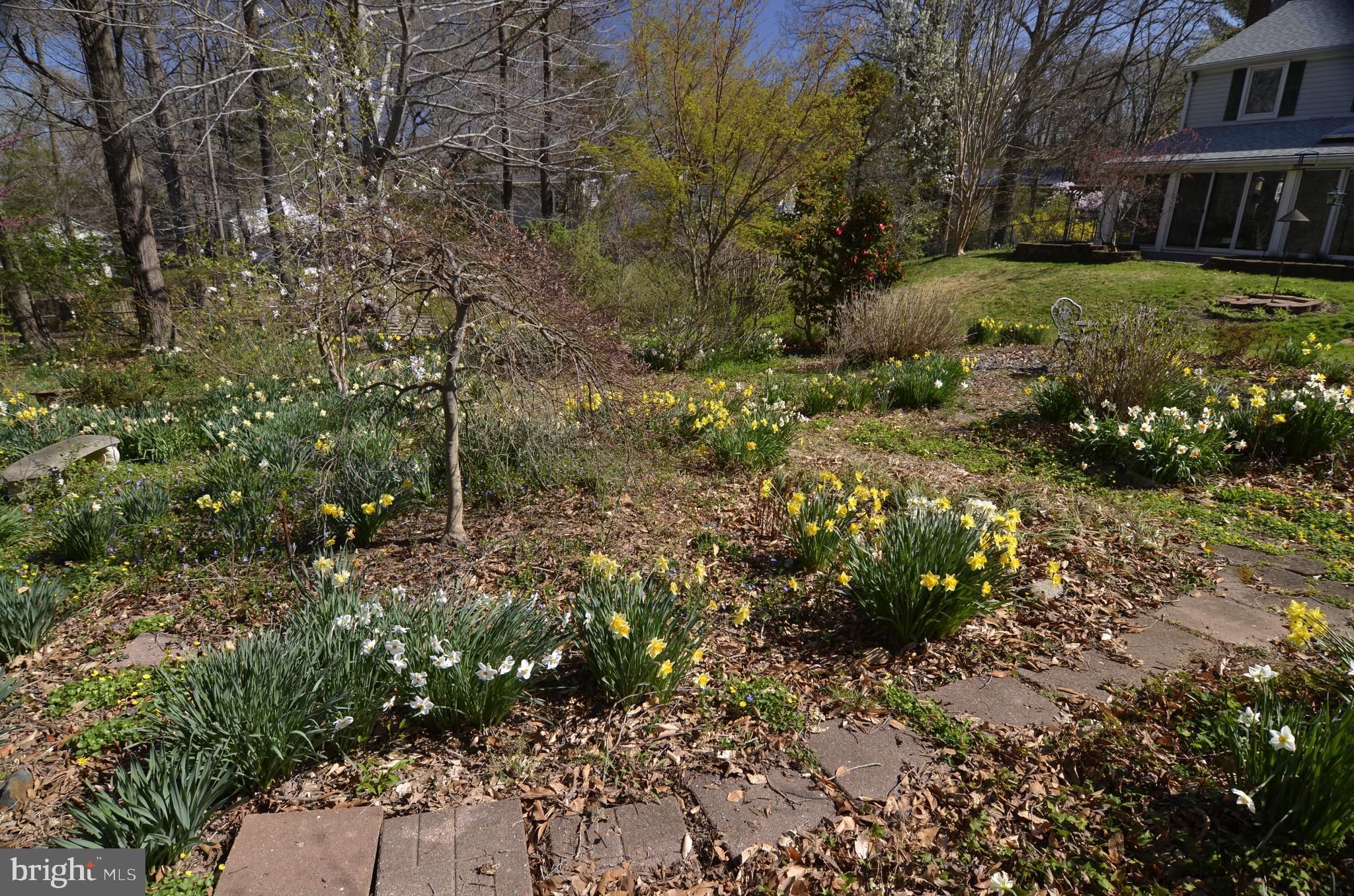 12408 Eastgate Lane Laurel, MD 20708 - Photo 68 of 81 Gallery Image 68