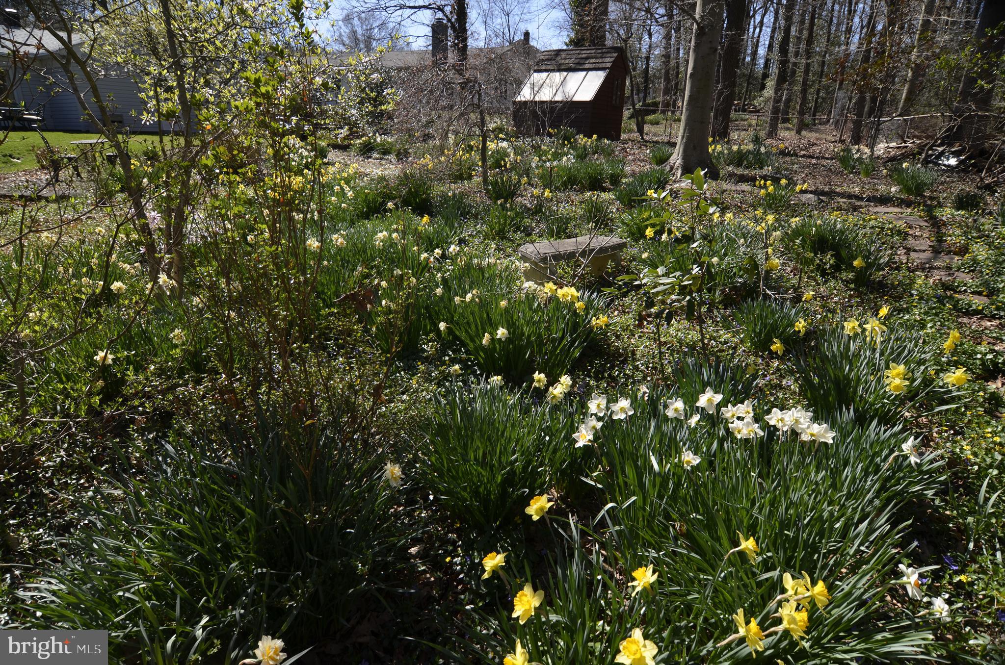 12408 Eastgate Lane Laurel, MD 20708 - Photo 72 of 81 Gallery Image 72