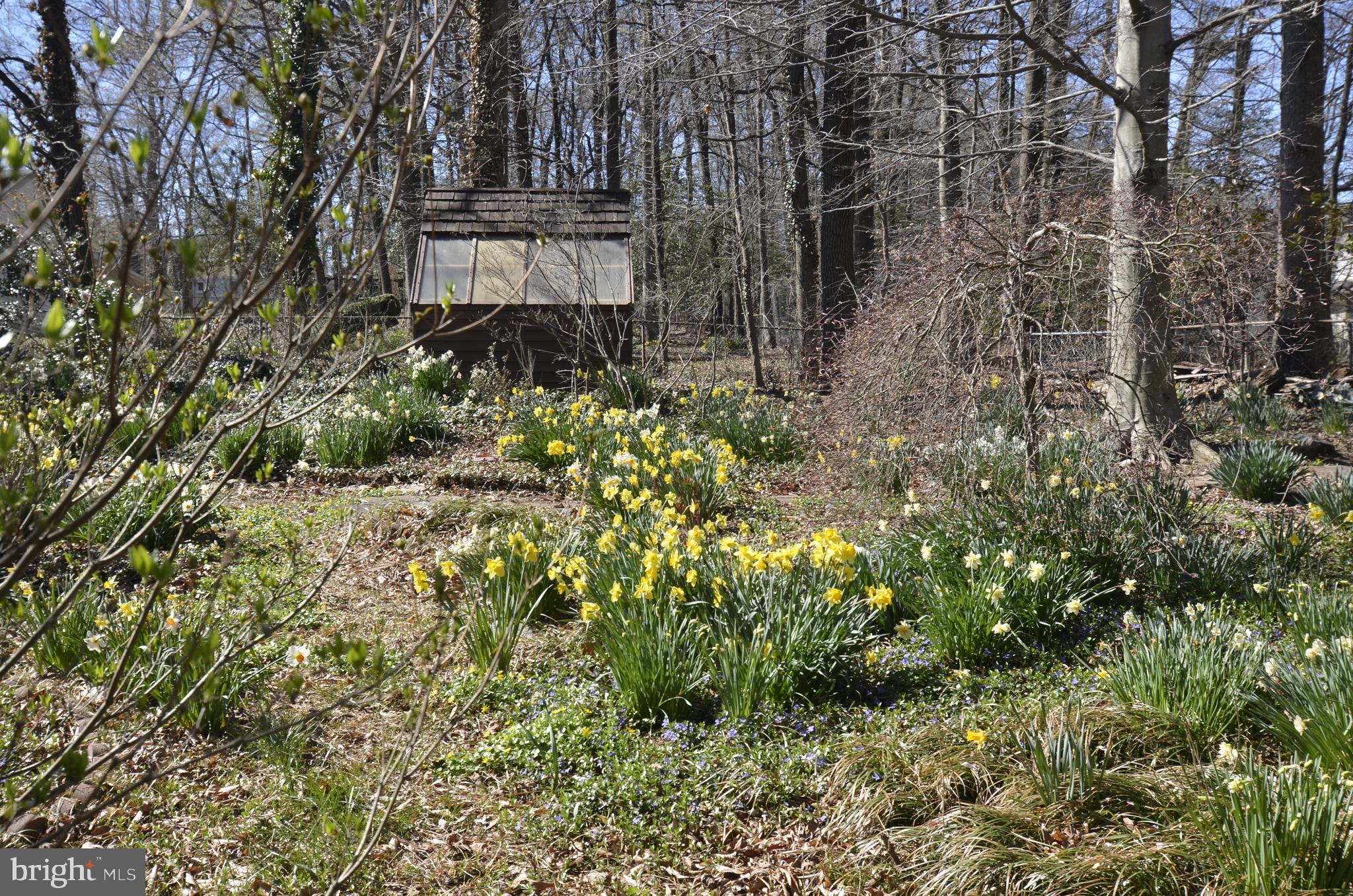 12408 Eastgate Lane Laurel, MD 20708 - Photo 75 of 81 Gallery Image 75