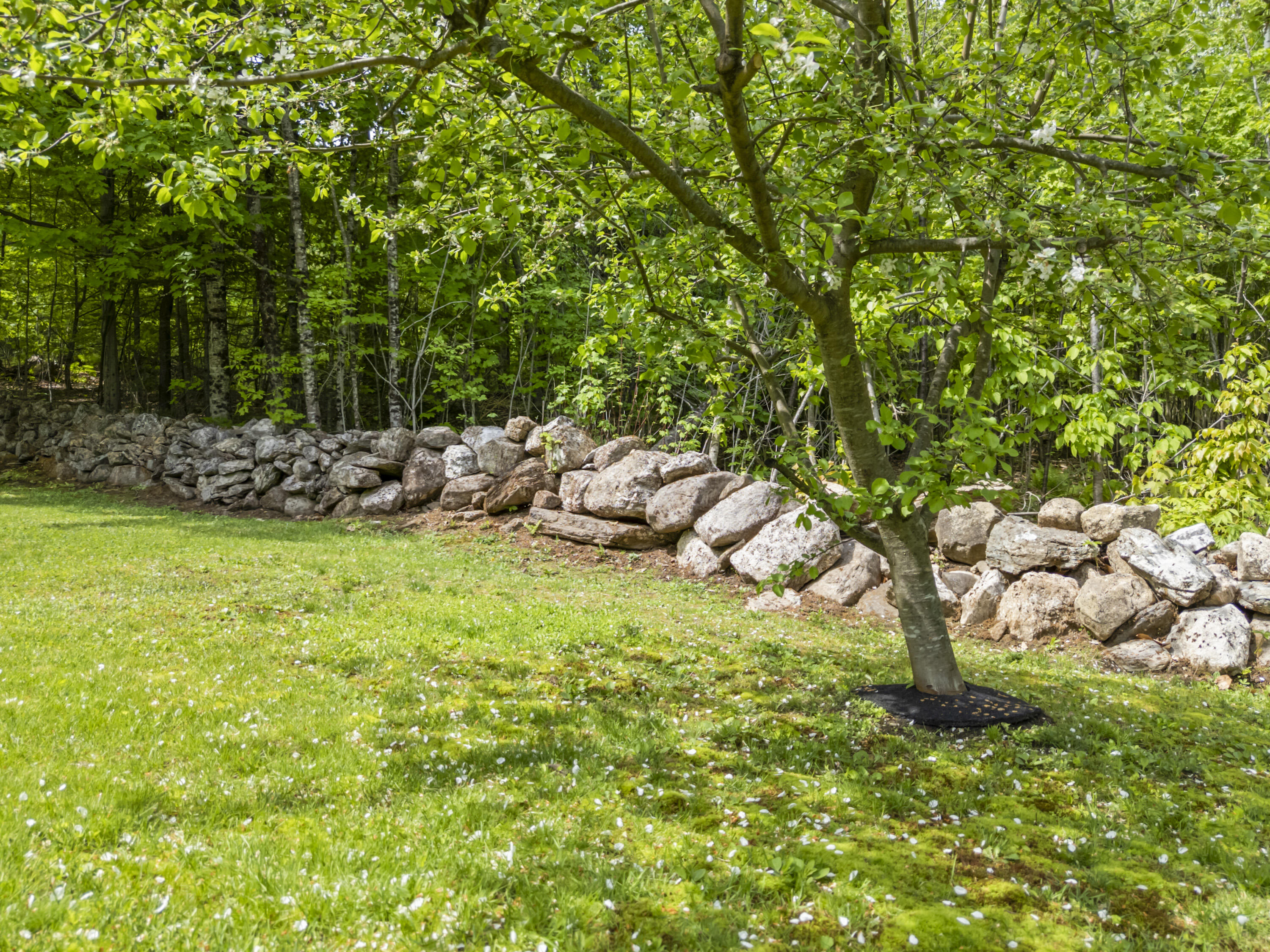 927 Federal Road Livermore, ME 04253 - Photo 51 of 59 927 Federal Rd_164