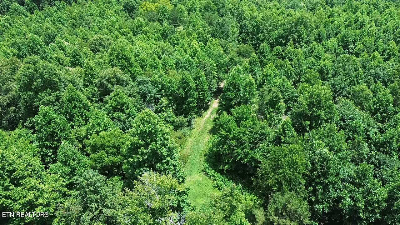 182 Nydeck Road Robbins, TN 37852 - Photo 5 of 23 2026-06-29-14-00-10-224