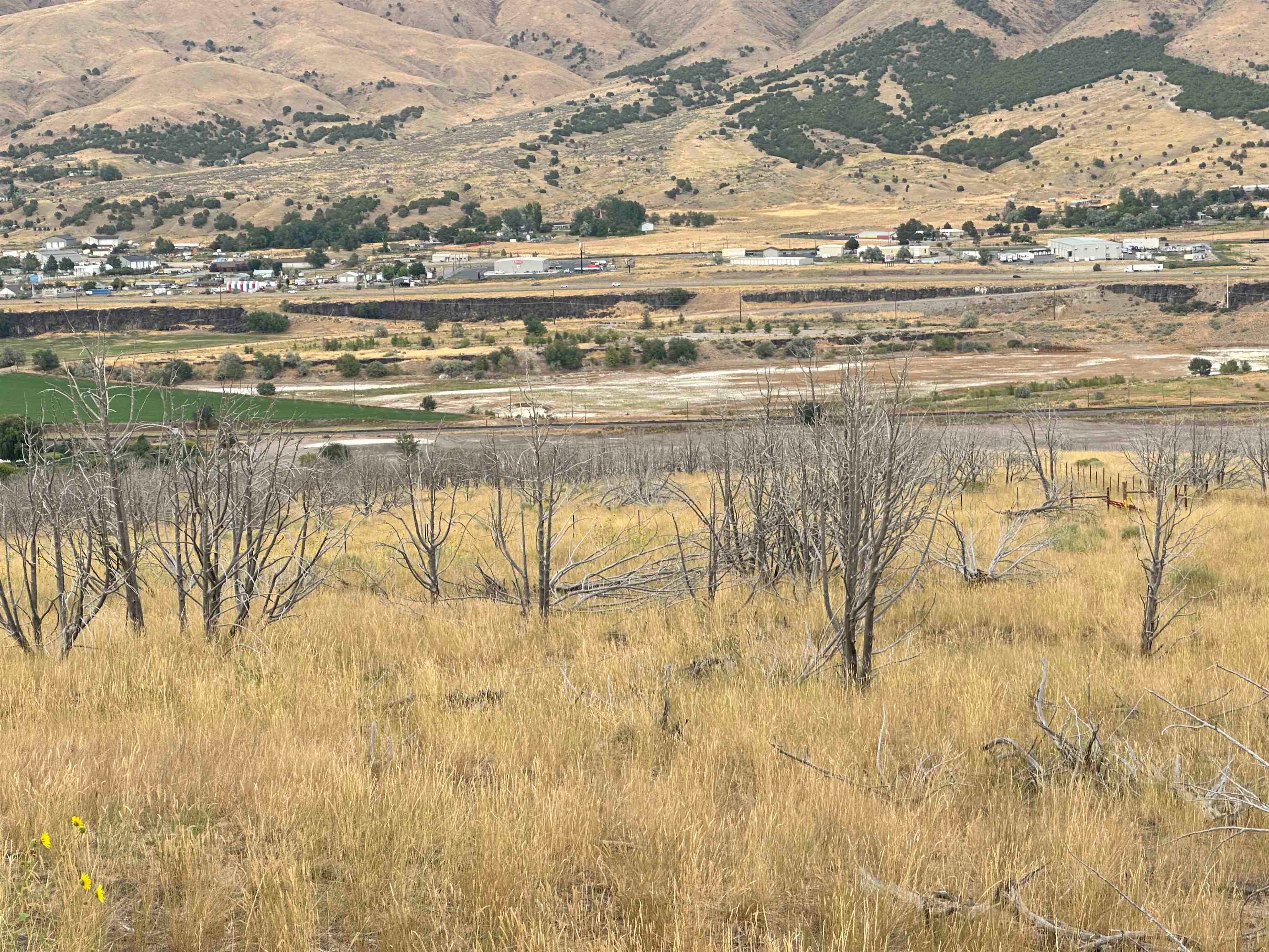 Lot 5 Ridgeview Lane Pocatello, ID 83204 - Photo 2 of 14 Gallery Image 2