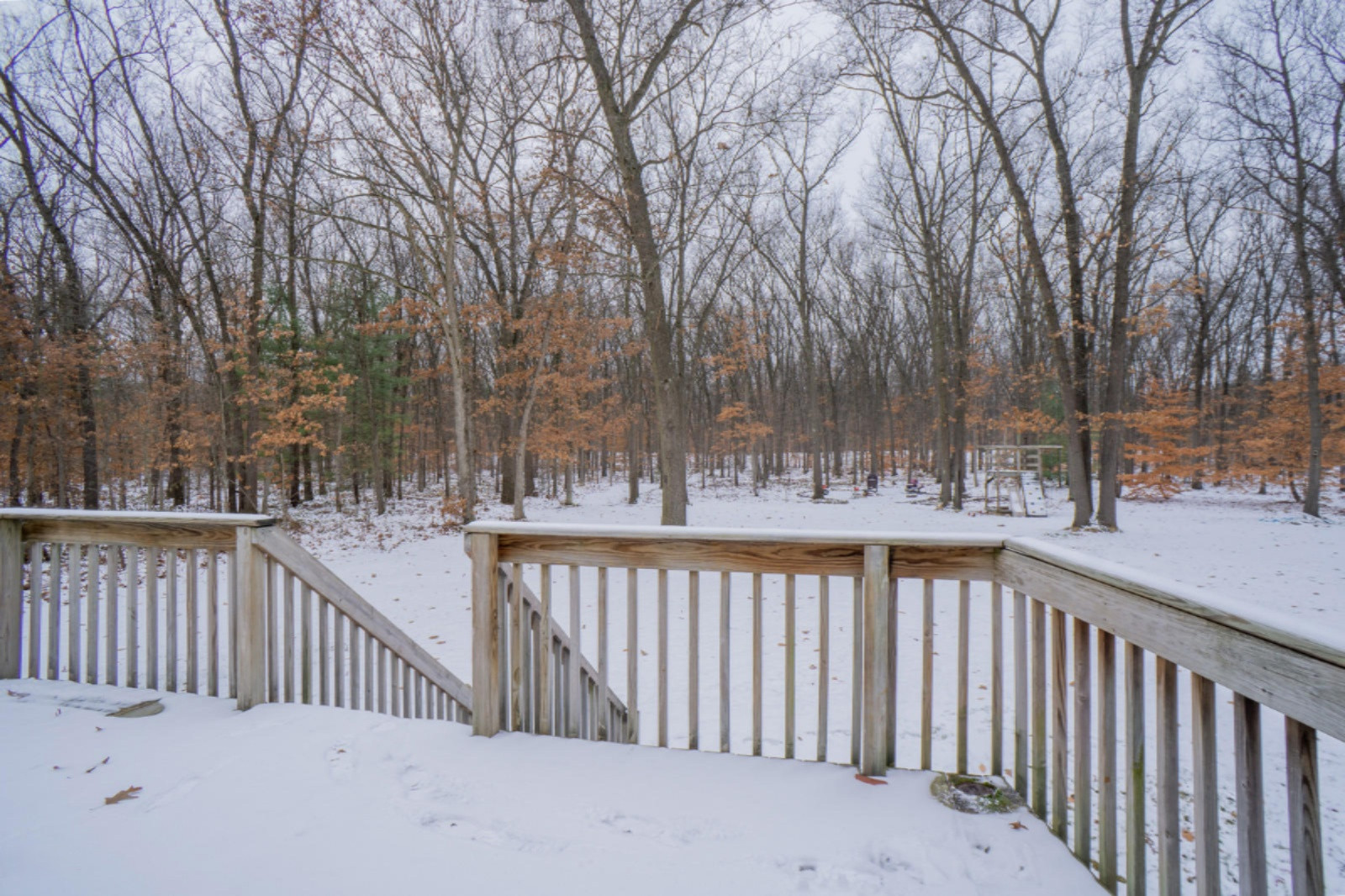 1885 South Maple Island Road Muskegon, MI 49442 - Photo 4 of 20 Back Deck Looking into Woods