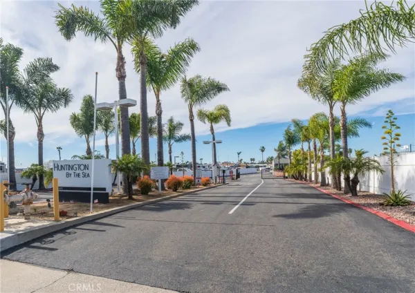 a row of palm trees and a swimming pool on a patio
