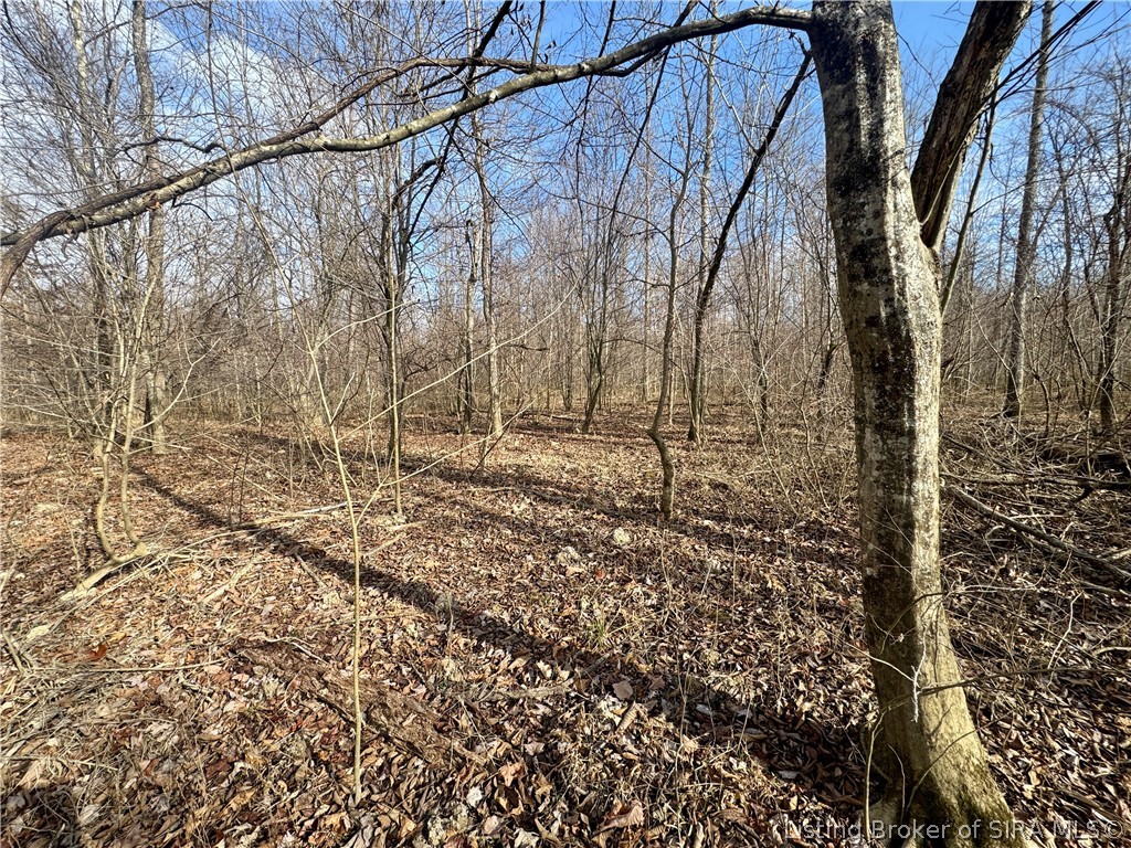 West Van Campen Road Austin, IN 47102 - Photo 11 of 24