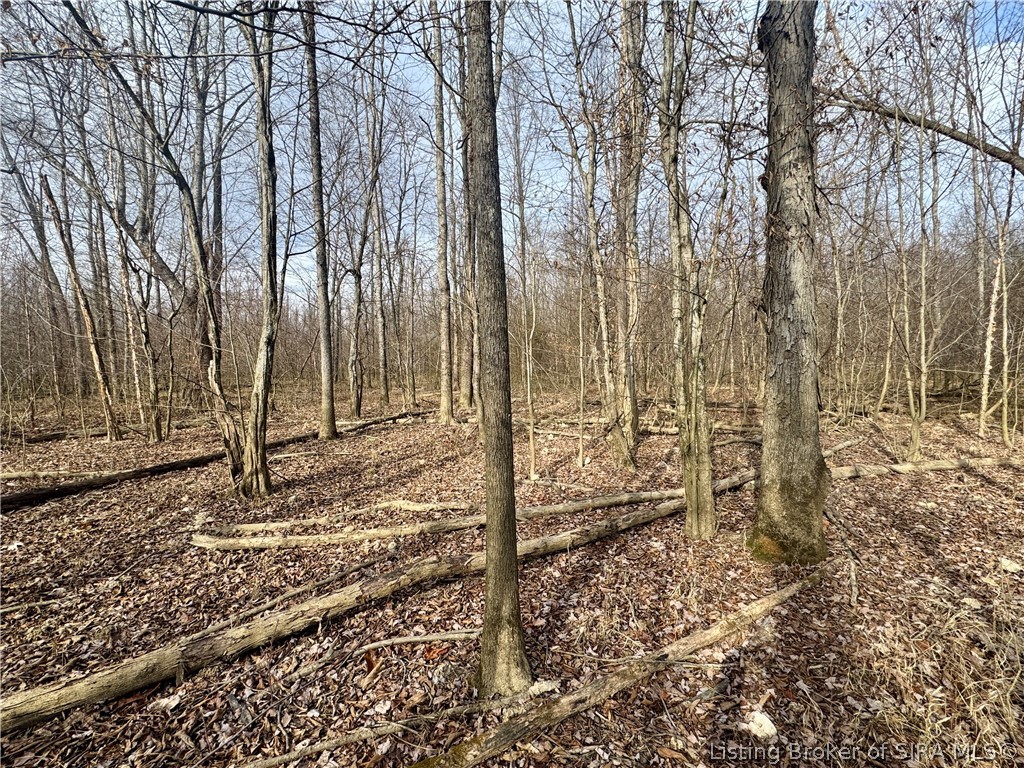 West Van Campen Road Austin, IN 47102 - Photo 13 of 24