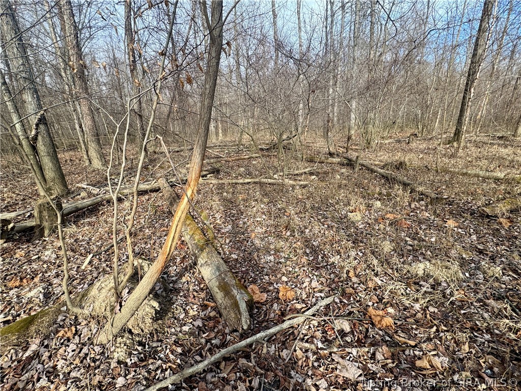 West Van Campen Road Austin, IN 47102 - Photo 14 of 24