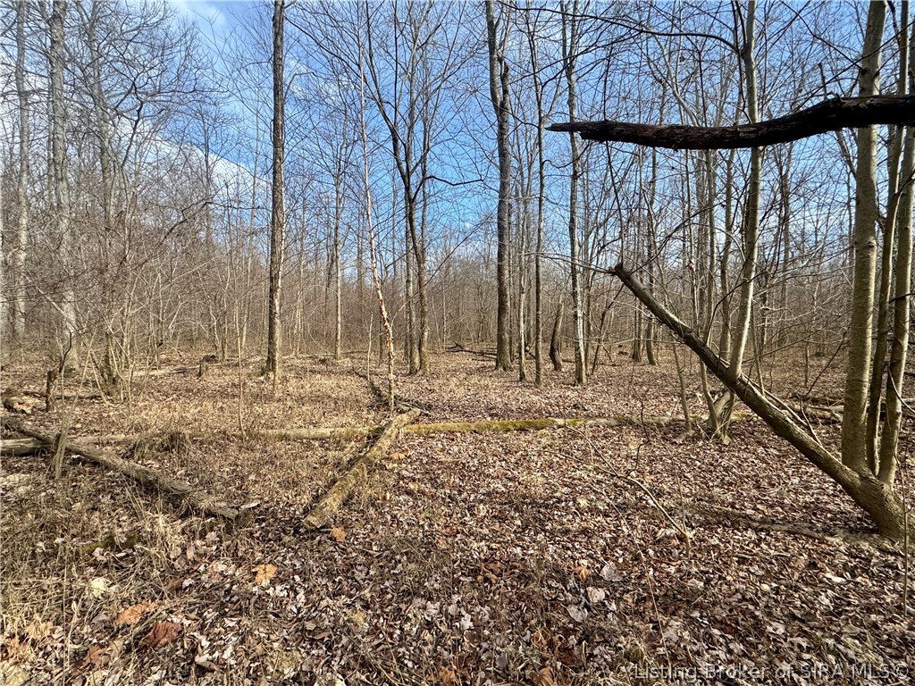 West Van Campen Road Austin, IN 47102 - Photo 15 of 24