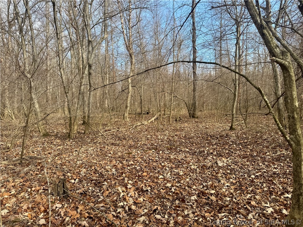 West Van Campen Road Austin, IN 47102 - Photo 16 of 24