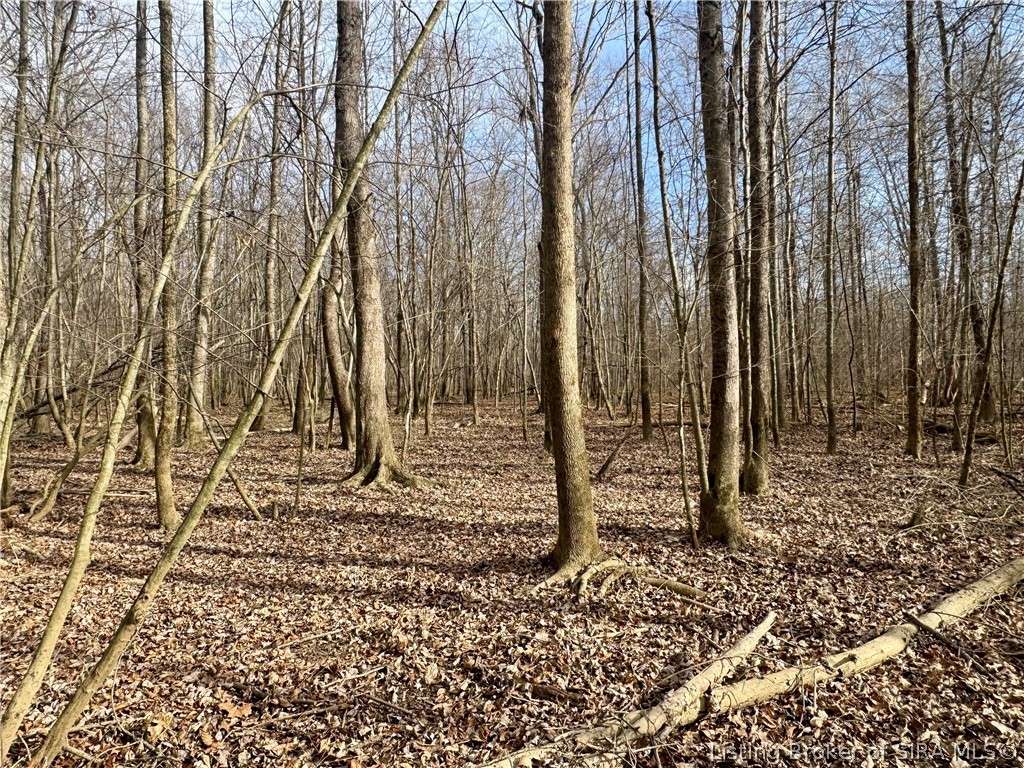 West Van Campen Road Austin, IN 47102 - Photo 18 of 24