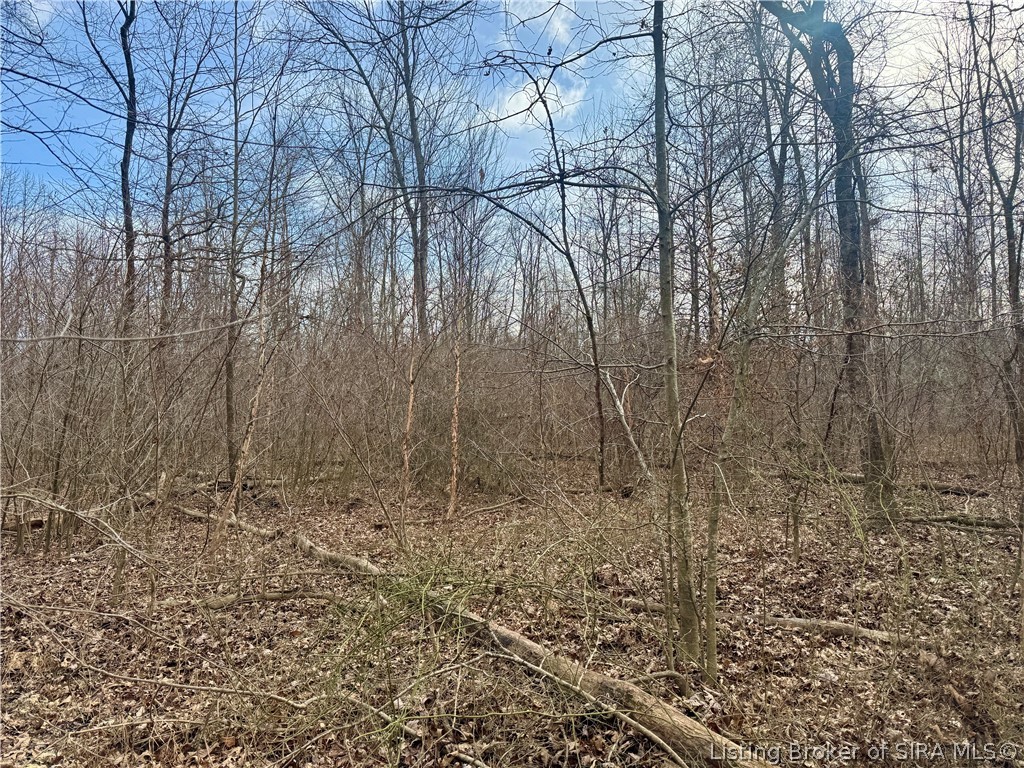 West Van Campen Road Austin, IN 47102 - Photo 19 of 24