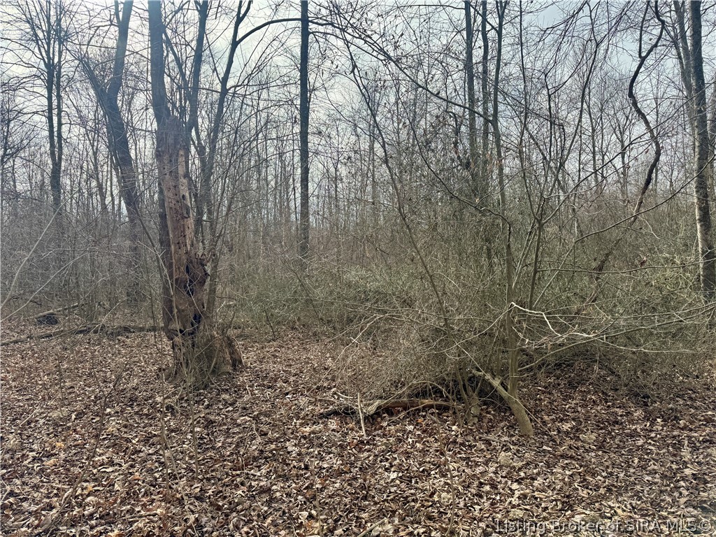 West Van Campen Road Austin, IN 47102 - Photo 20 of 24