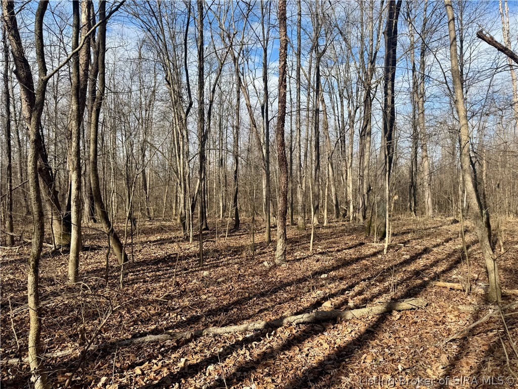 West Van Campen Road Austin, IN 47102 - Photo 2 of 24