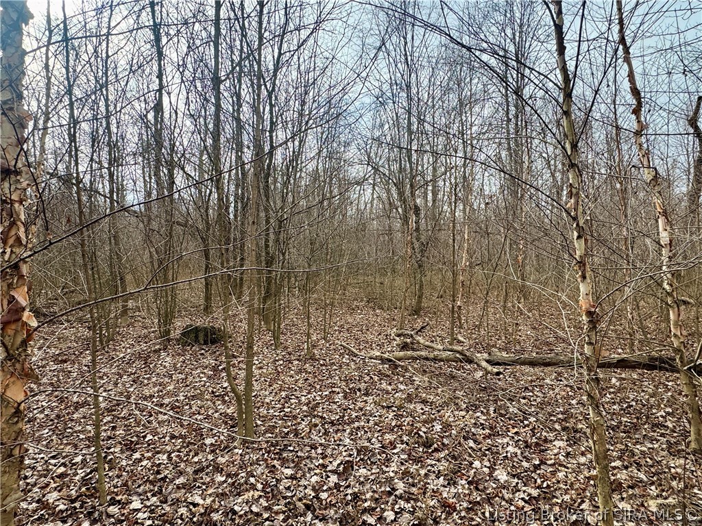 West Van Campen Road Austin, IN 47102 - Photo 21 of 24