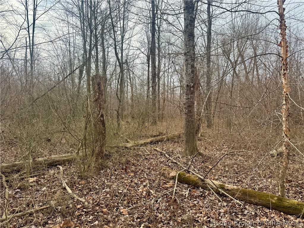 West Van Campen Road Austin, IN 47102 - Photo 22 of 24