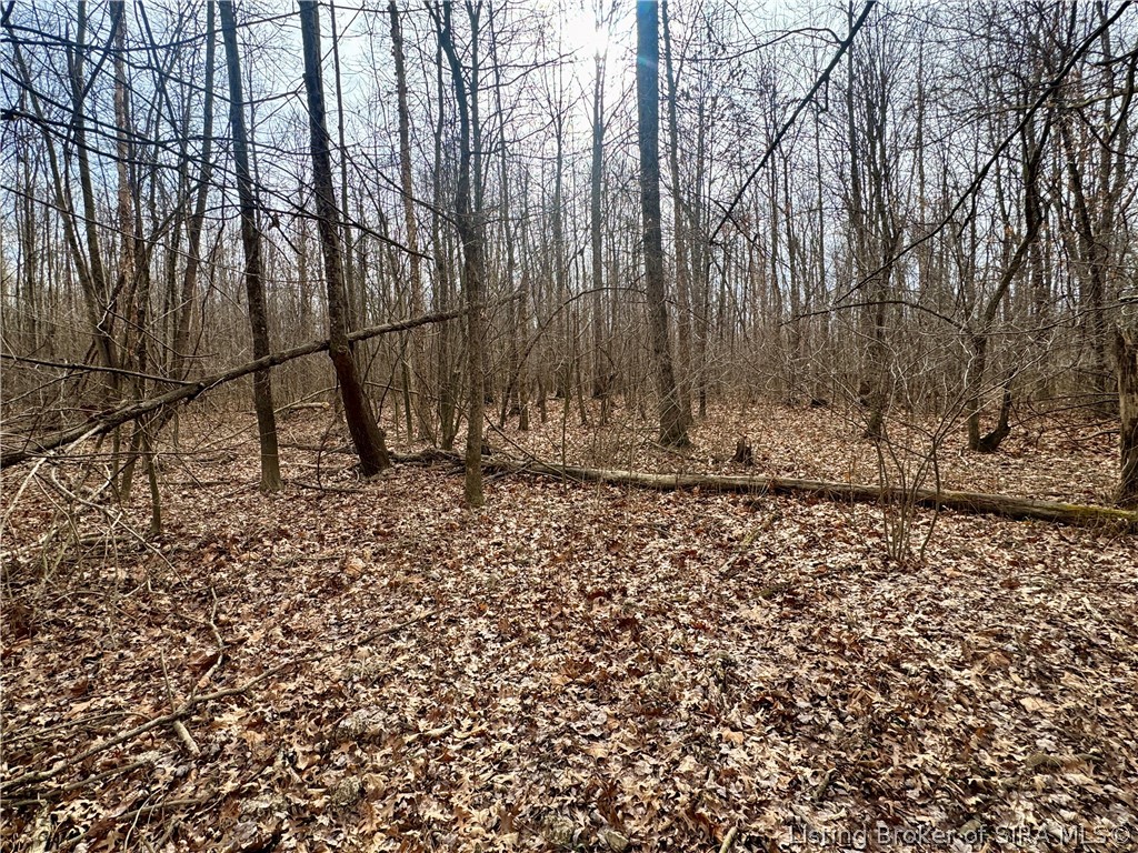 West Van Campen Road Austin, IN 47102 - Photo 24 of 24