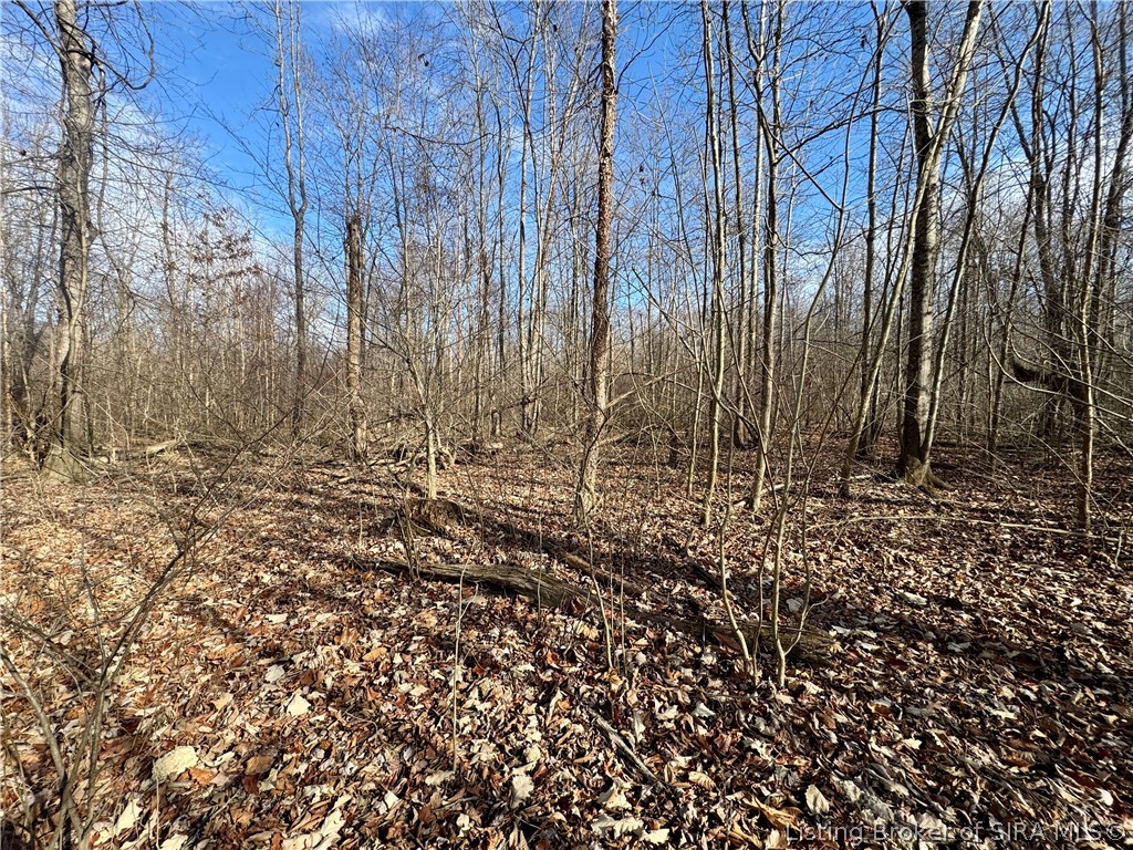 West Van Campen Road Austin, IN 47102 - Photo 4 of 24