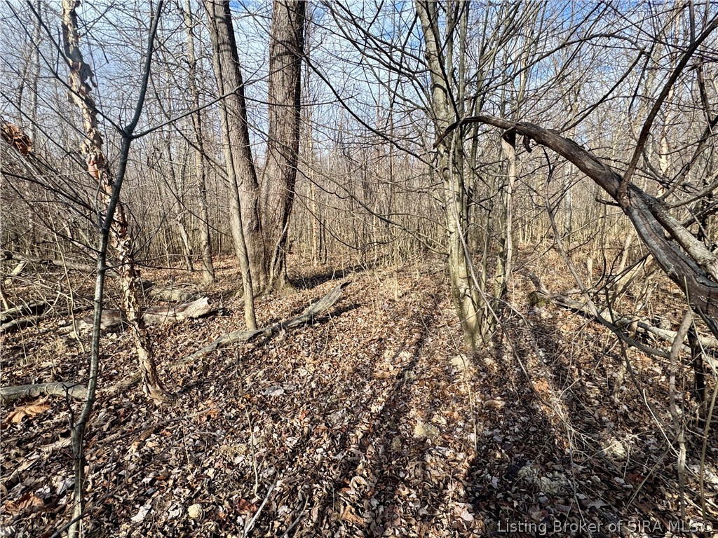 West Van Campen Road Austin, IN 47102 - Photo 6 of 24