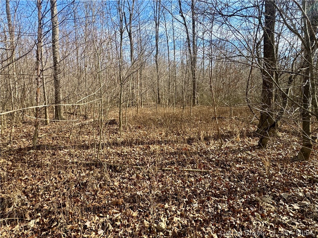 West Van Campen Road Austin, IN 47102 - Photo 8 of 24