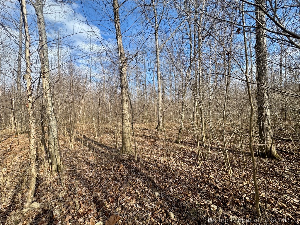 West Van Campen Road Austin, IN 47102 - Photo 9 of 24