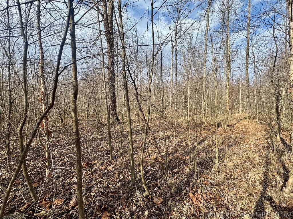 West Van Campen Road Austin, IN 47102 - Photo 10 of 24