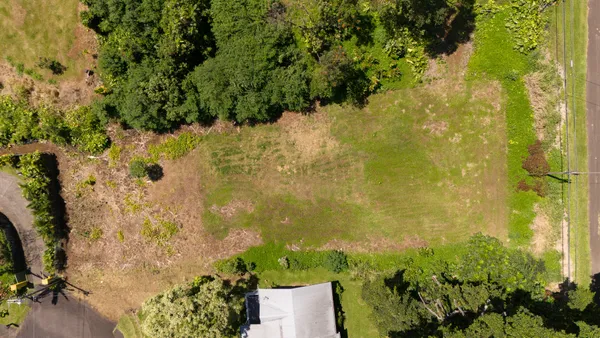 a view of a garden