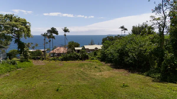 a view of a garden