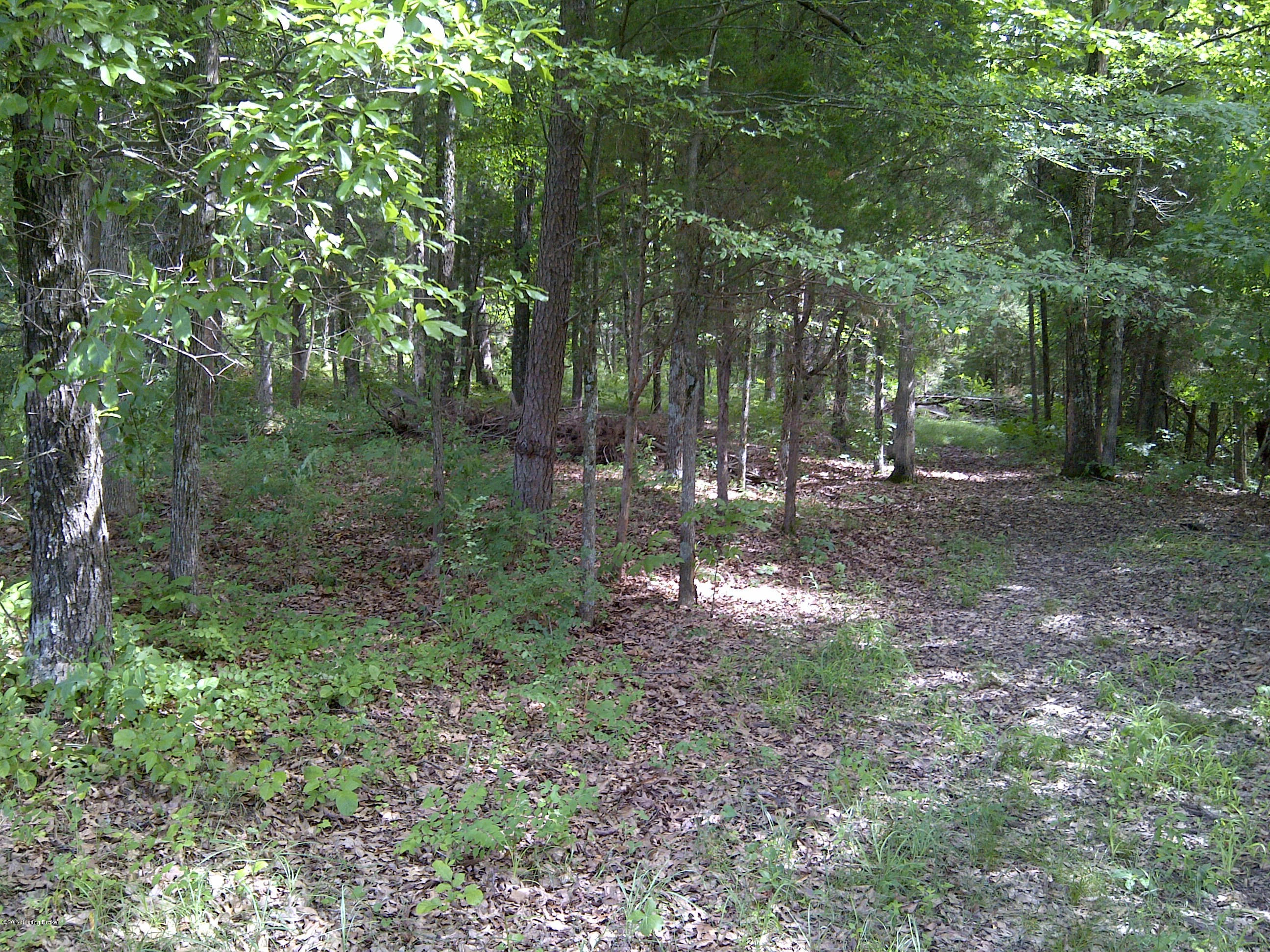 5651 Springfield Road Bardstown, KY 40004 - Photo 3 of 13 Bardstown-20140614-00718