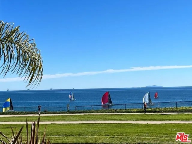a view of ocean with palm trees
