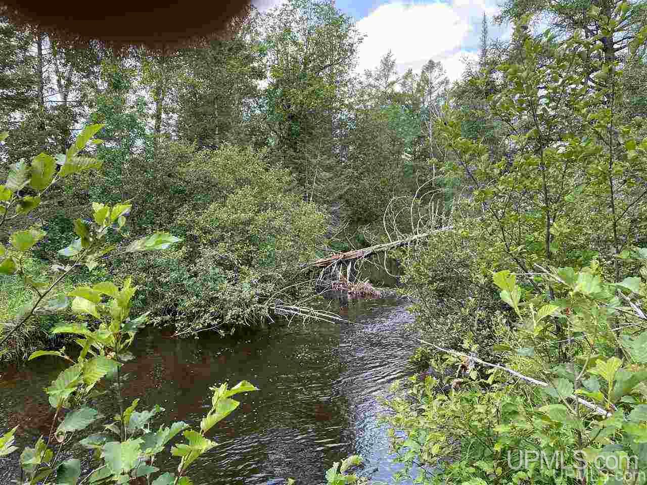 Tbd Off Nowack Road, Unit 1 Powers, MI 49874 - Photo 17 of 32