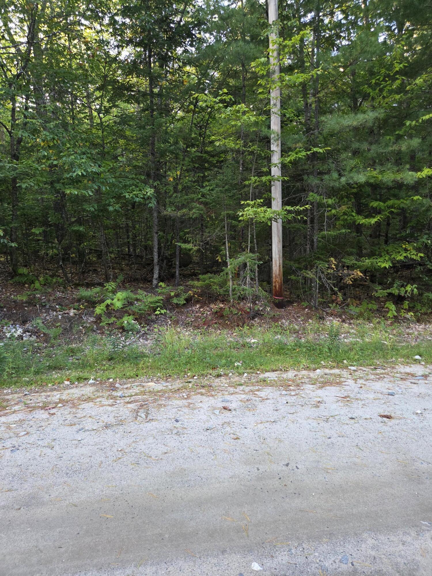 1155 Dickvale Road Peru, ME 04290 - Photo 13 of 14 20260914_174034