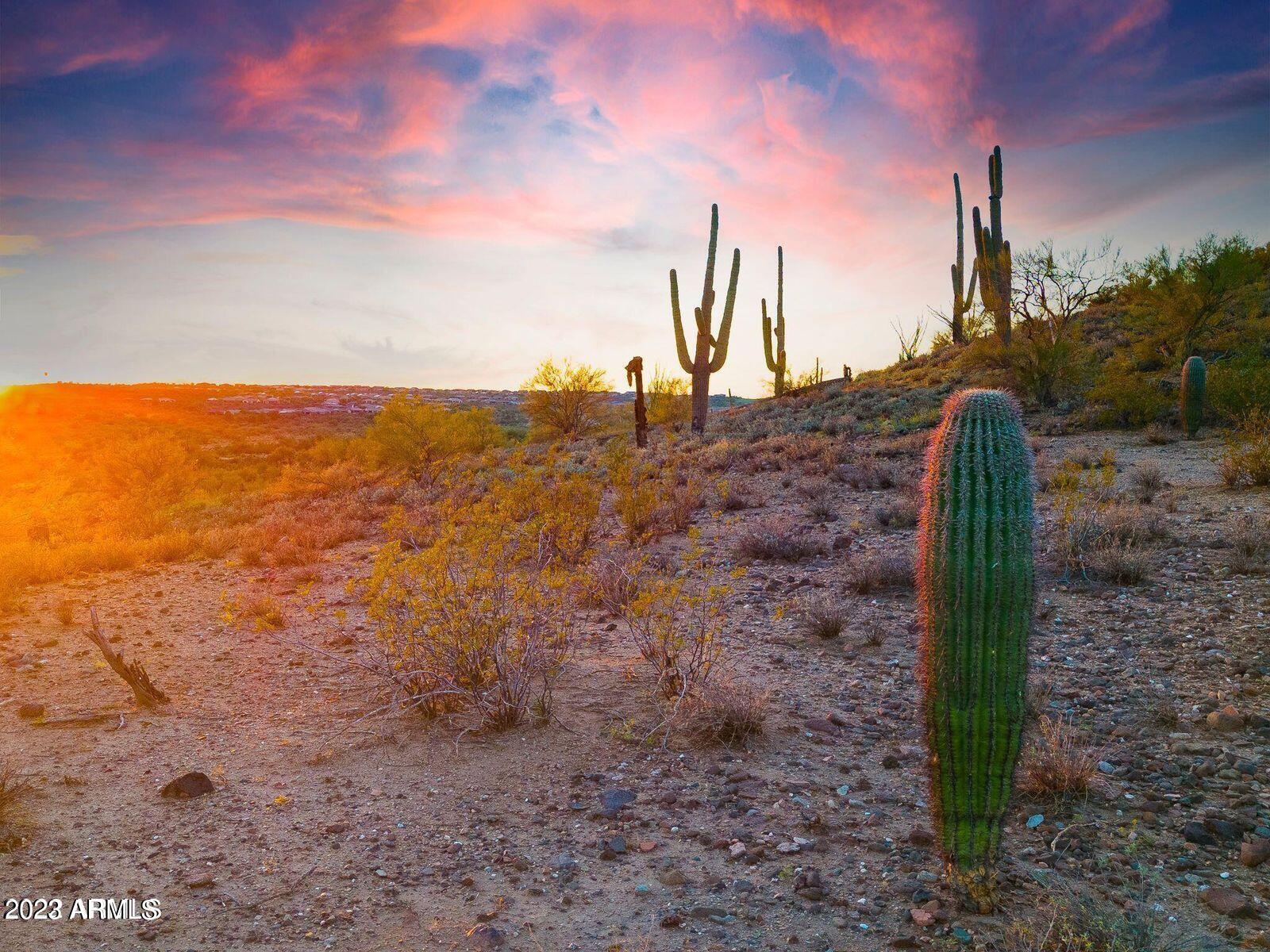 18881 West Roper Road Wickenburg, AZ 85390 - Photo 12 of 14 a view of a yard with an ocean beach