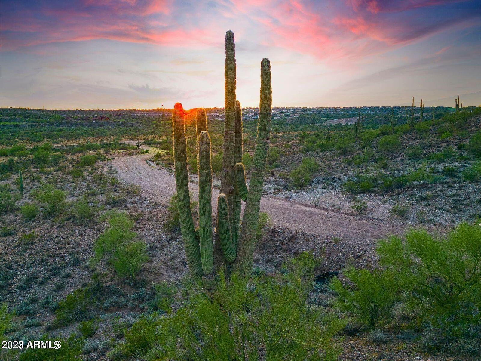18881 West Roper Road Wickenburg, AZ 85390 - Photo 8 of 14 a view of a city with large tree