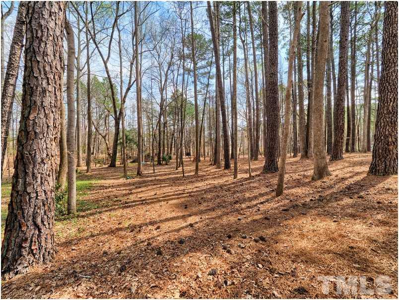 11416 Coachmans Way Raleigh, NC 27614 - Photo 23 of 25
