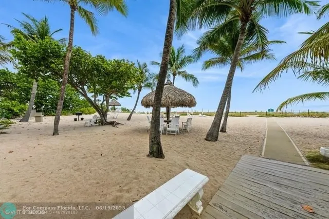 a view of a park with palm trees