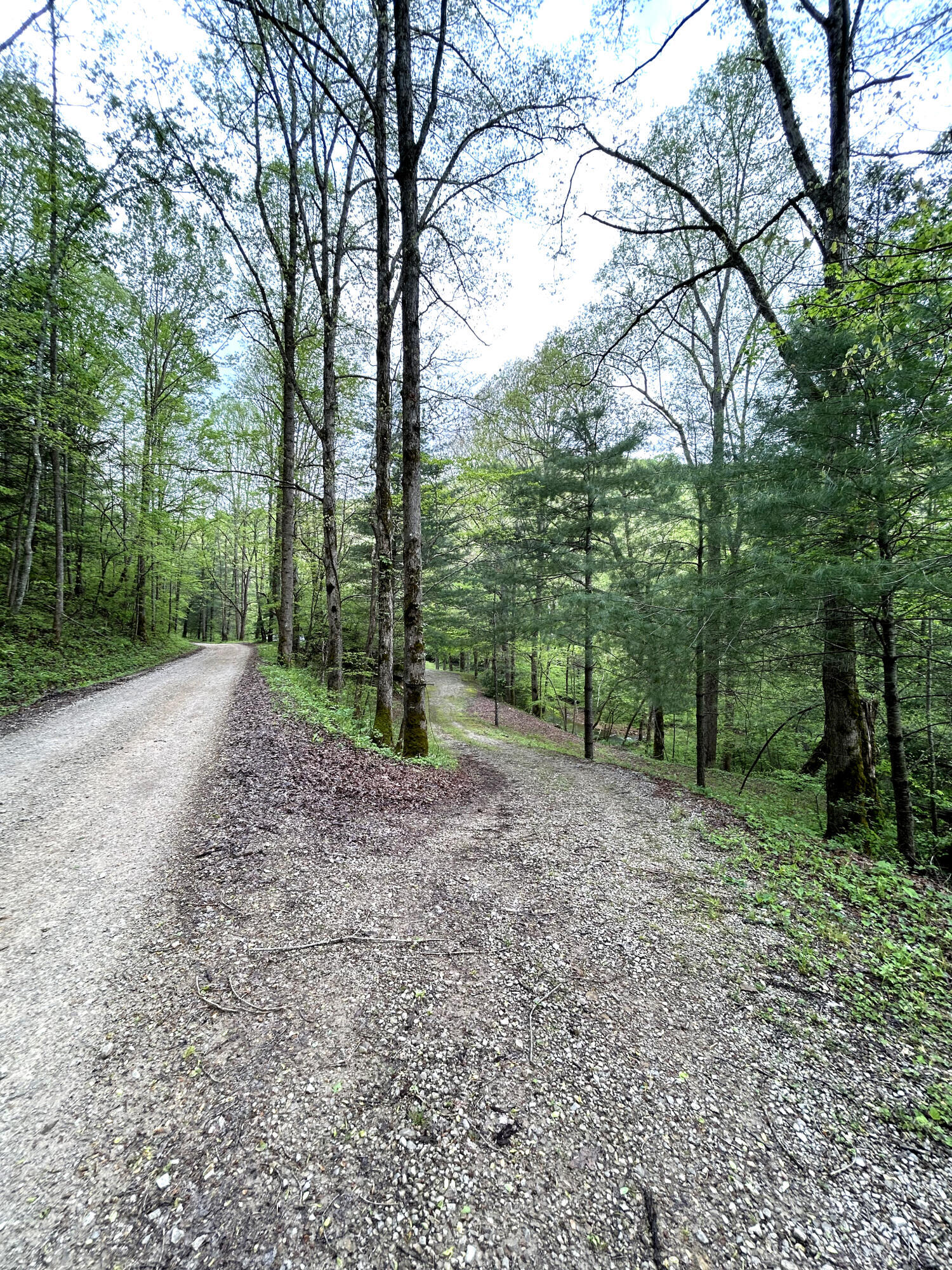 1180 Raccoon Creek Road Sandgap, KY 40481 - Photo 46 of 60 IMG_2550