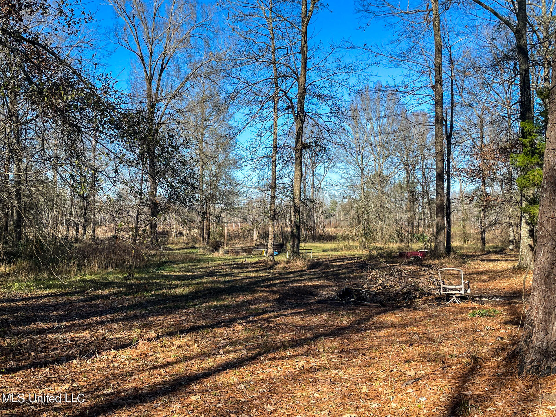 787 Bethel Road Brandon, MS 39042 - Photo 45 of 47 45