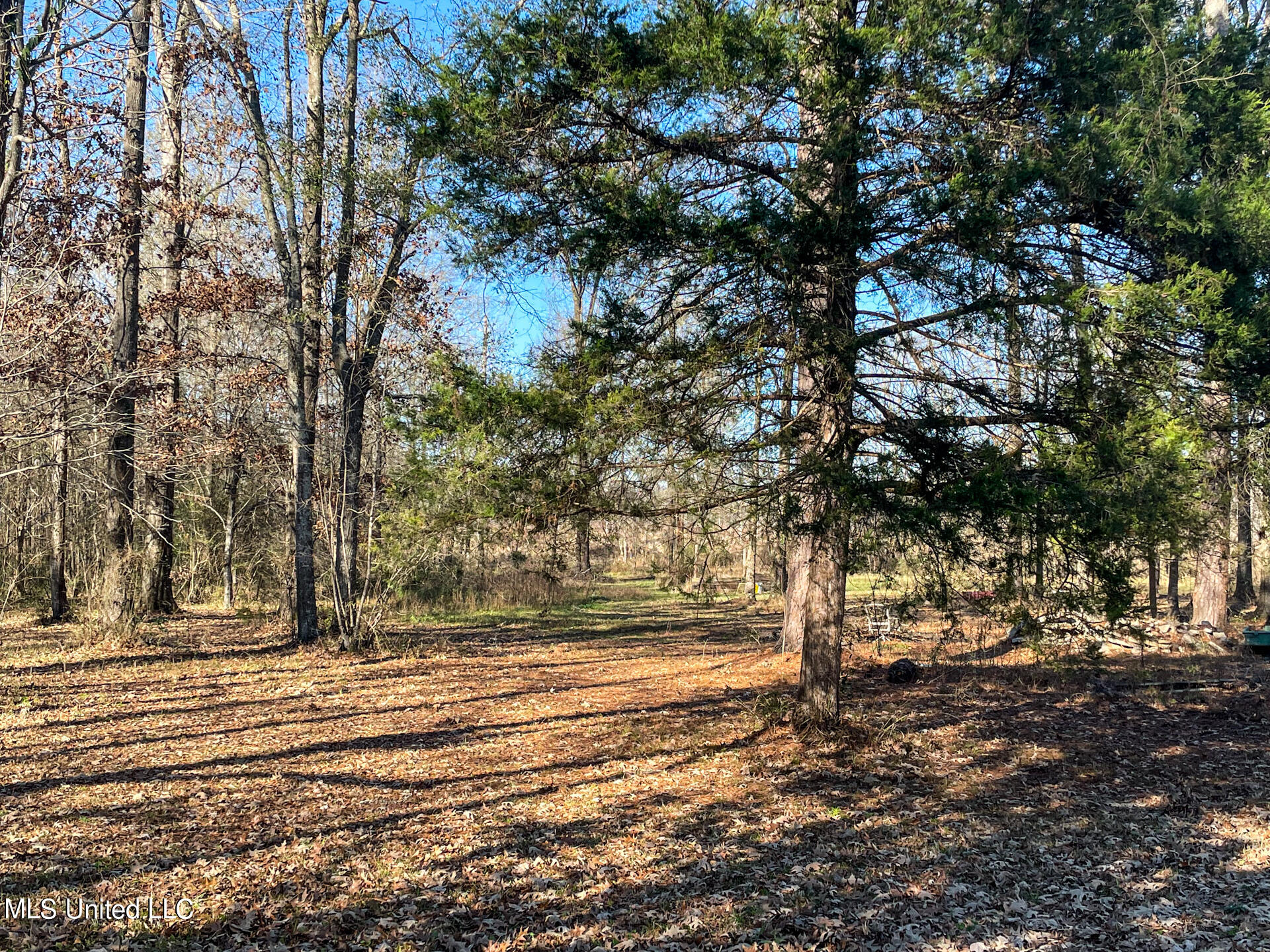 787 Bethel Road Brandon, MS 39042 - Photo 46 of 47 46